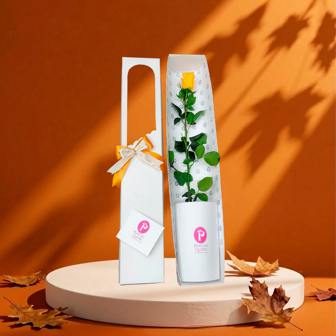 CAJA UNA ROSA