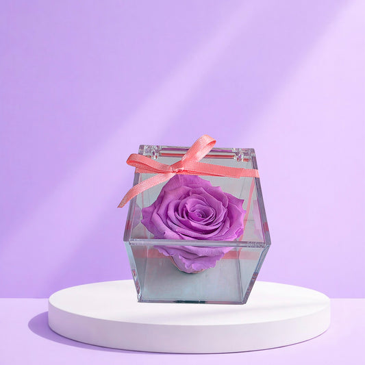 CUBO ACRILICO CON ROSA PRESERVADA LILA