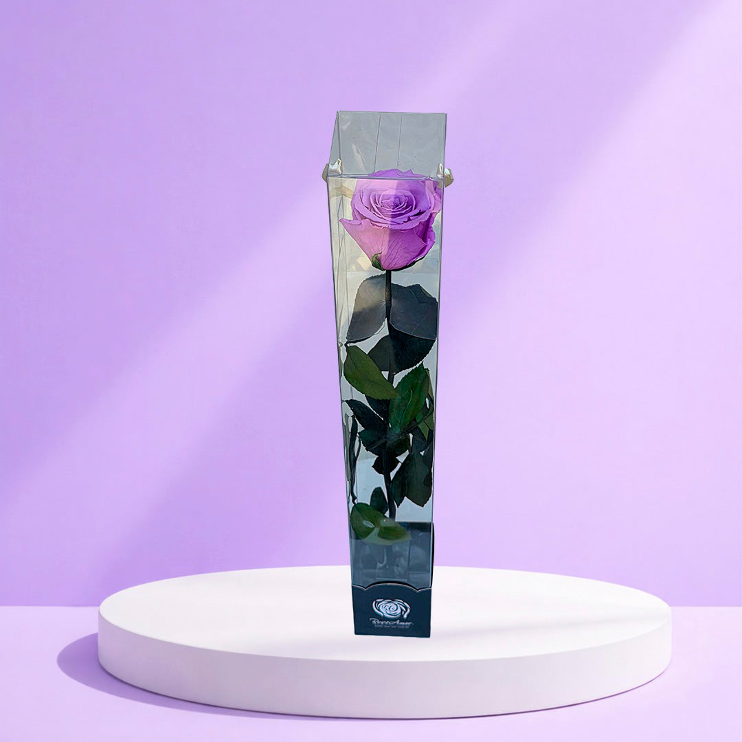 CAJA DE  UNA ROSA PRESERVADA